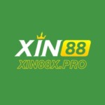 Profile picture of xin88 xpro